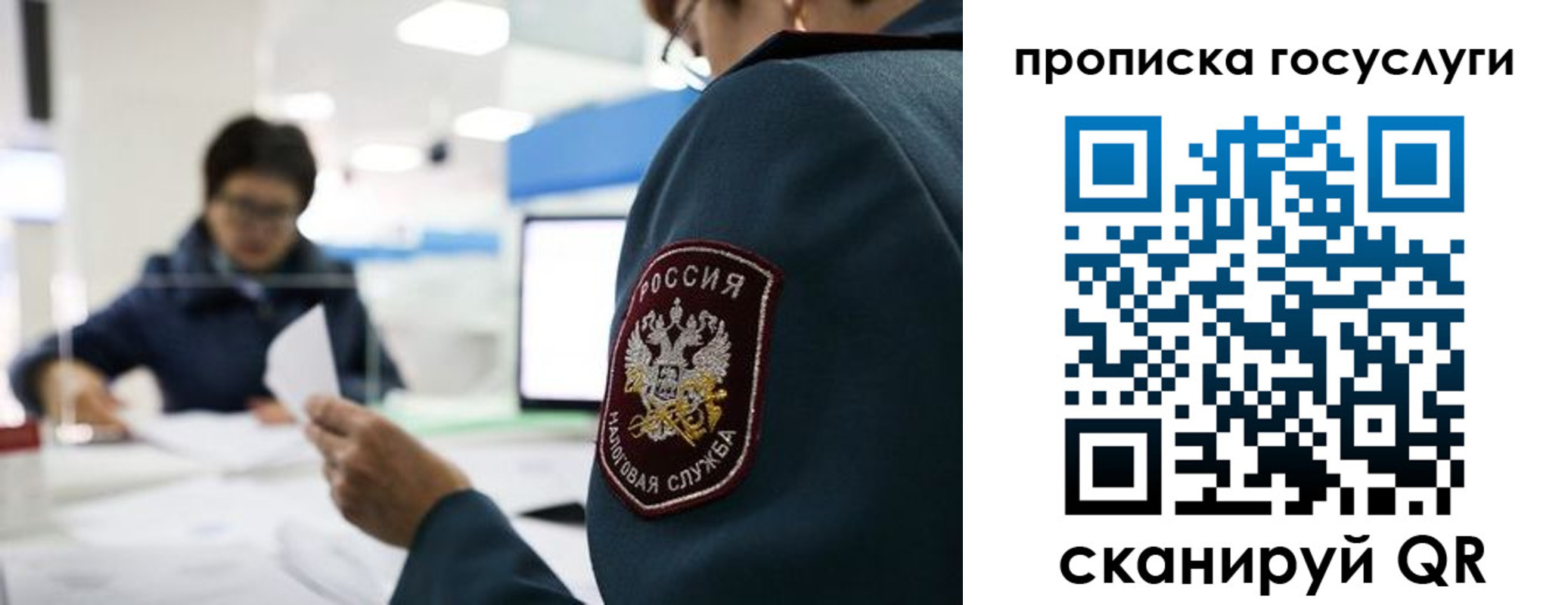 регистрация для школы в Зиме