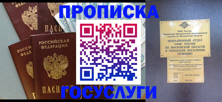 прописка гарантия в Зиме